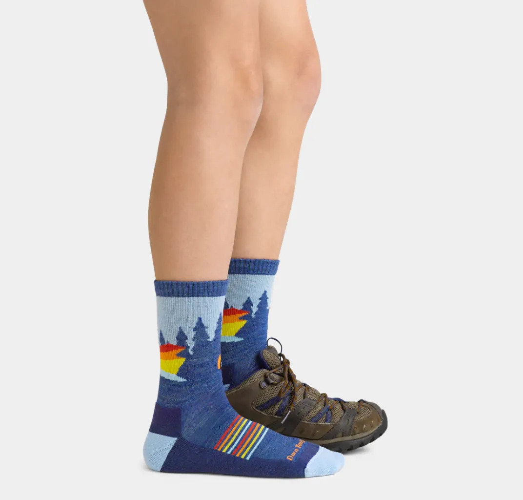 Darn Tough Kids' Van Wild Micro-Crew Lightweight Sock